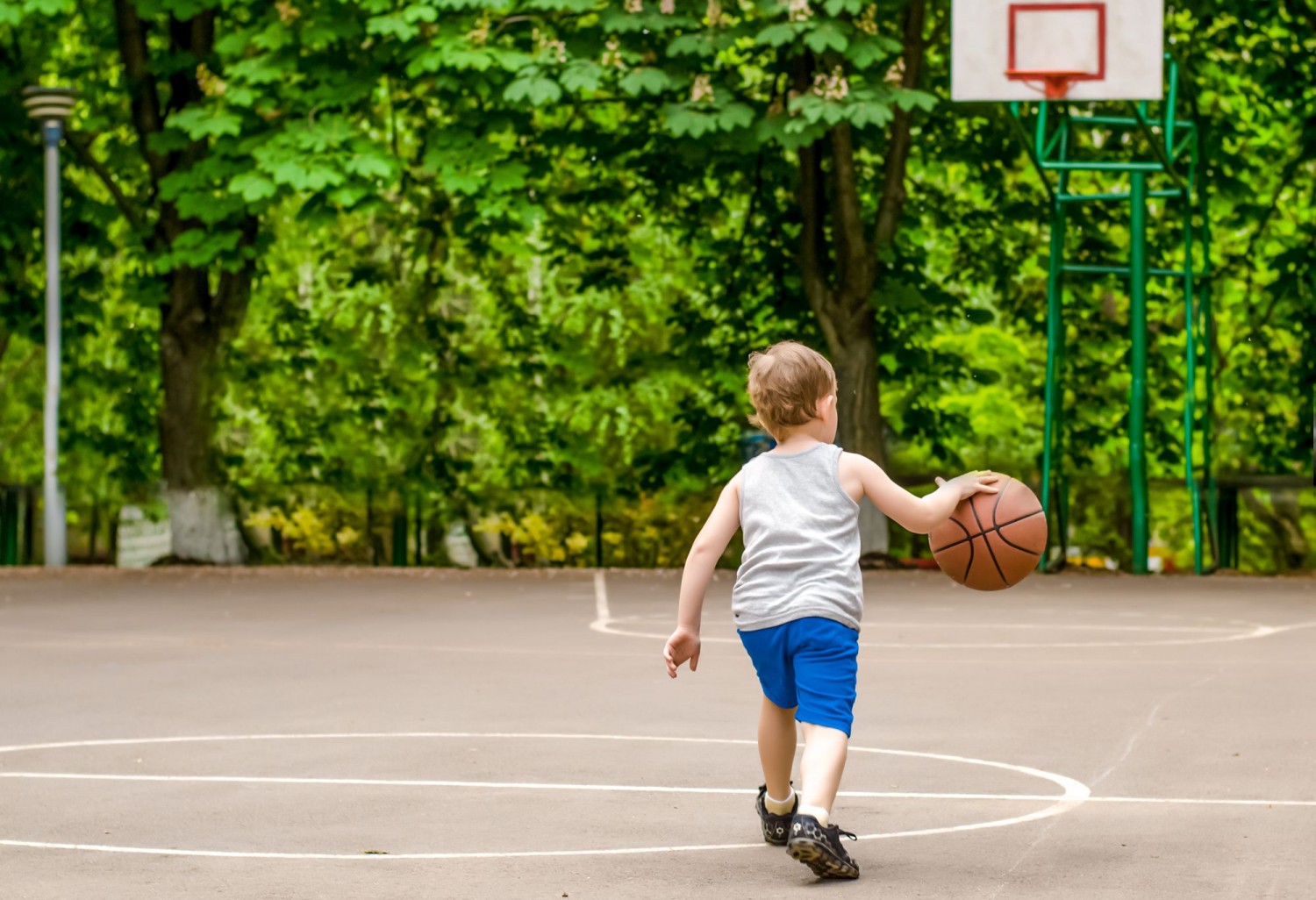 Entrenamiento escolar