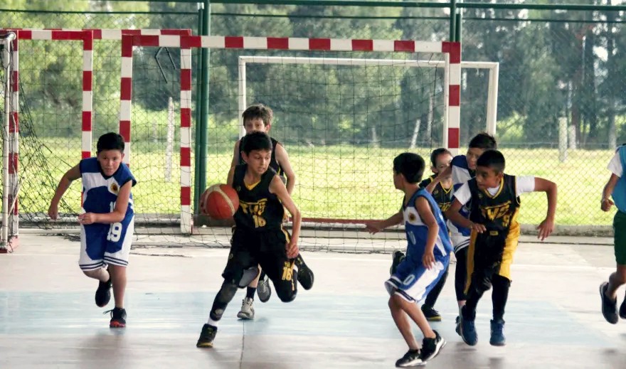 Entrenamiento escolar