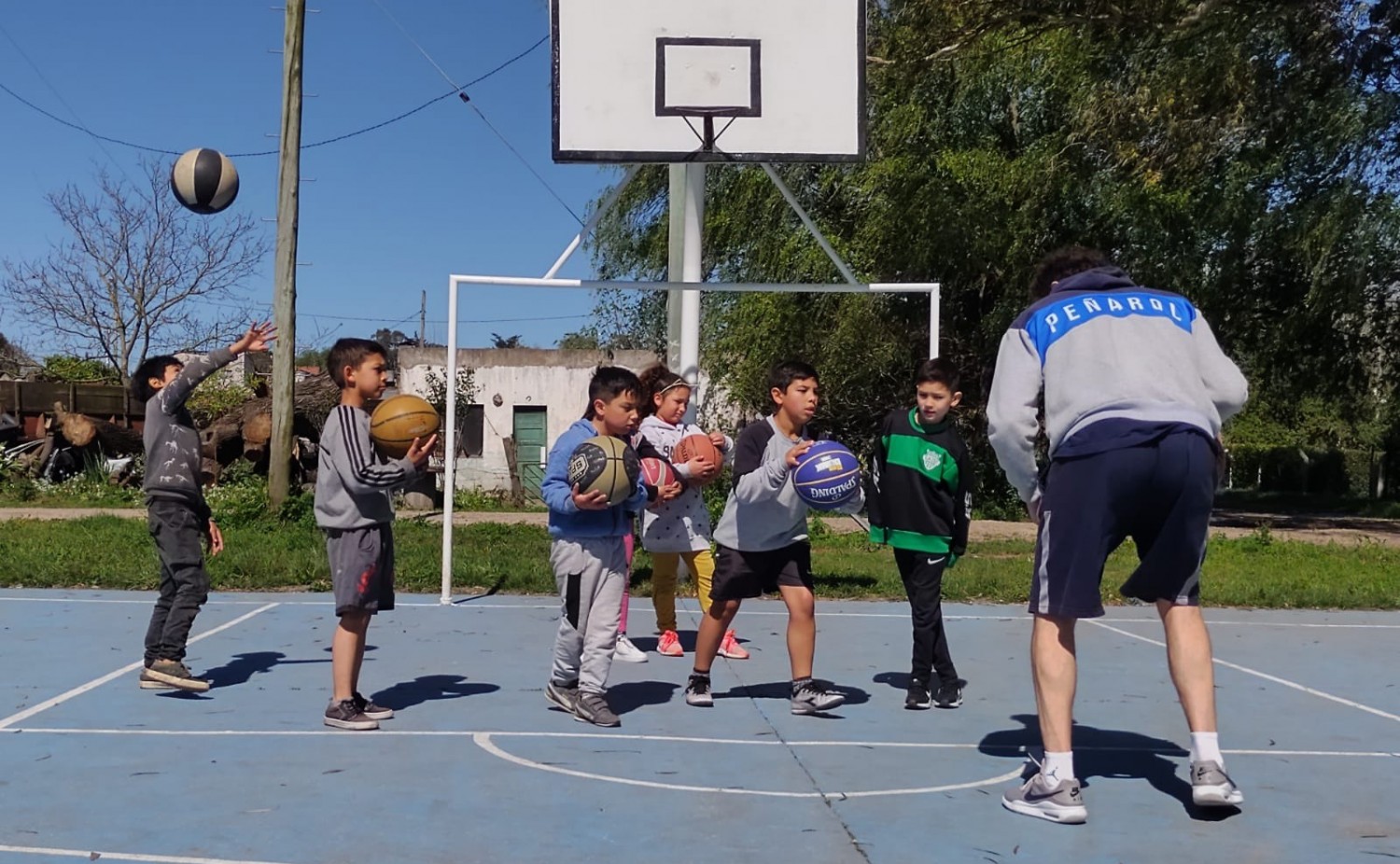 Entrenamiento escolar