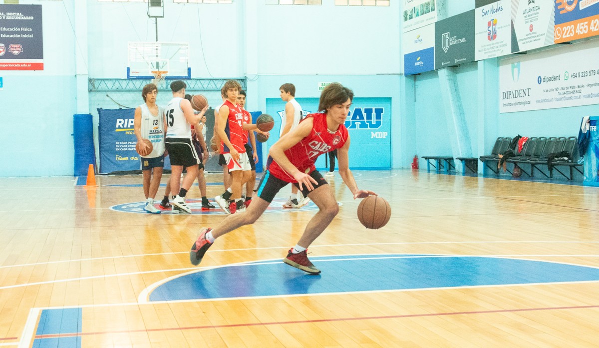 Curso: La motricidad y el aprendizaje motor