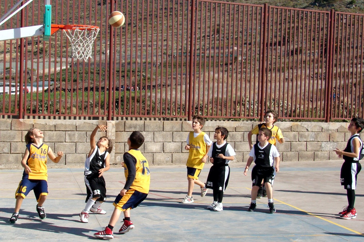 La capacidad l&oacute;gico-motriz, desde el primer d&iacute;a